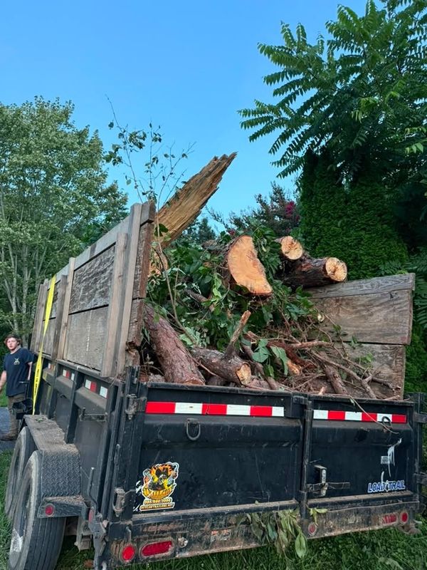 Land Clearing
