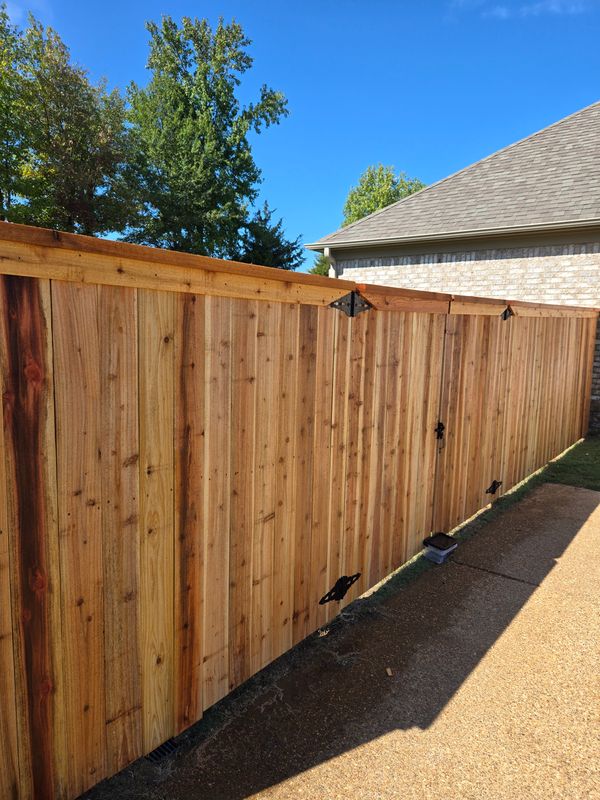 Fence Installation