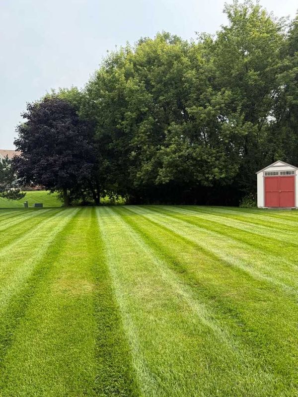 Lawn Maintenance