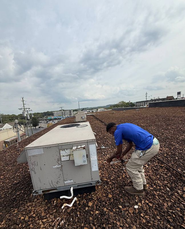 Routine Maintenance and Tune-ups