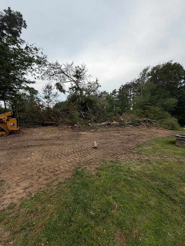Debris Removal
