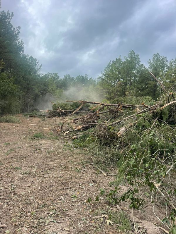 Tree Trimming & Removal