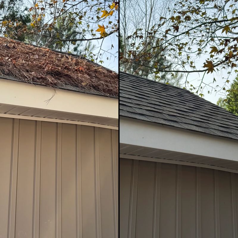 Gutter Cleaning 