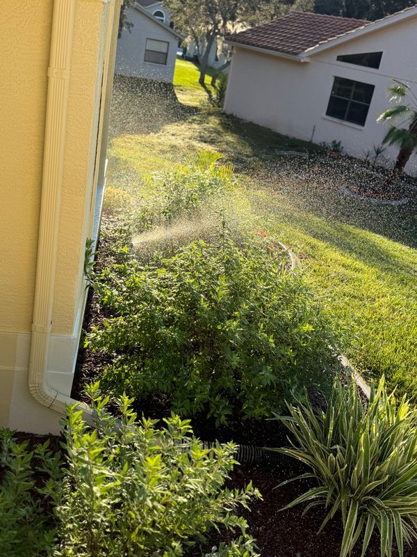 Drip Irrigation Installation and Maintenance