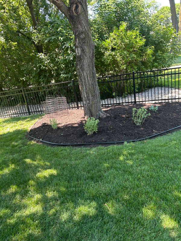 Mulching