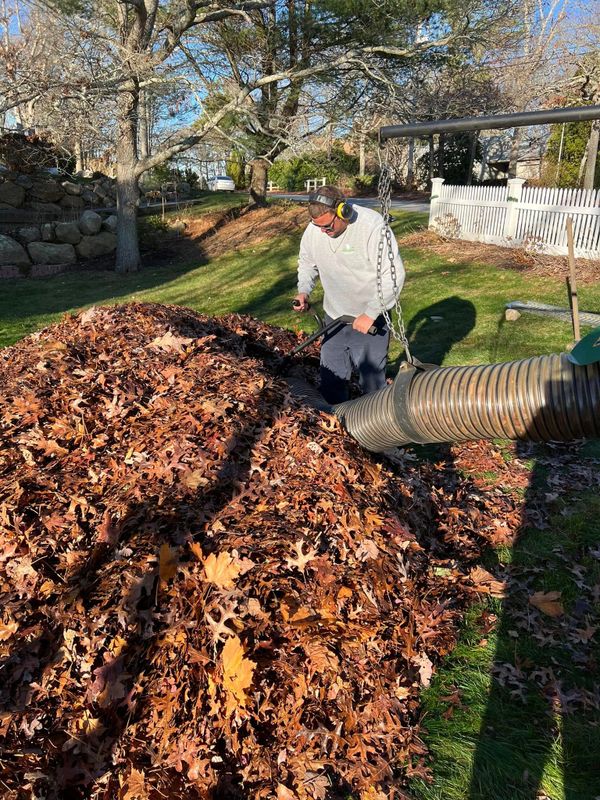 Fall CleanUp