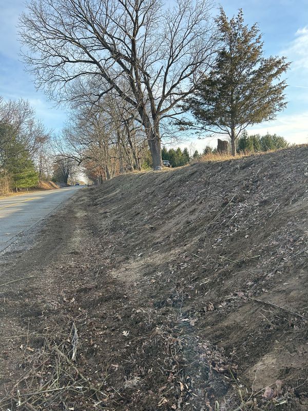 Brush Removal/Hogging