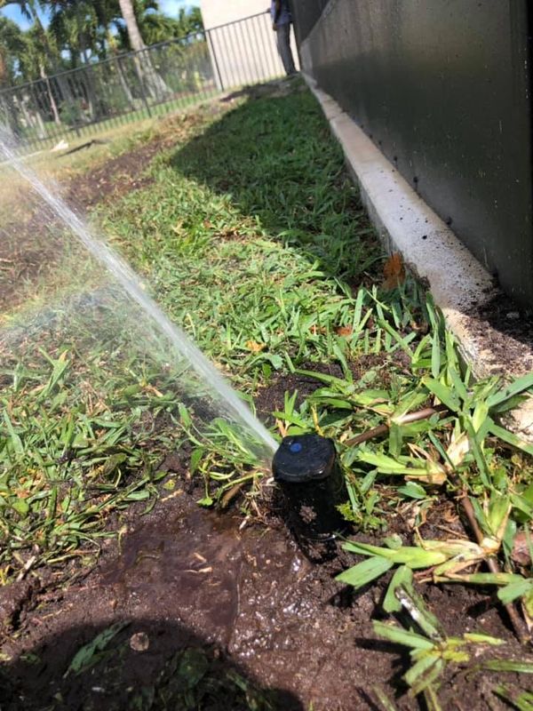 Irrigation