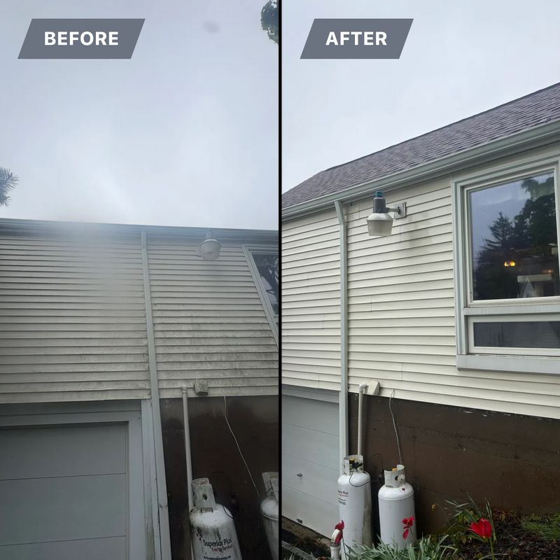 Moss Removal
