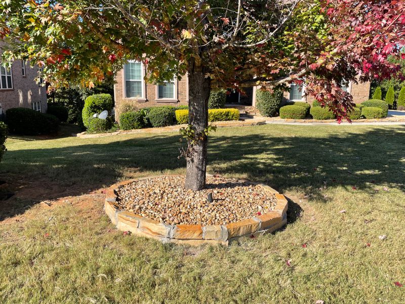 Landscape Design