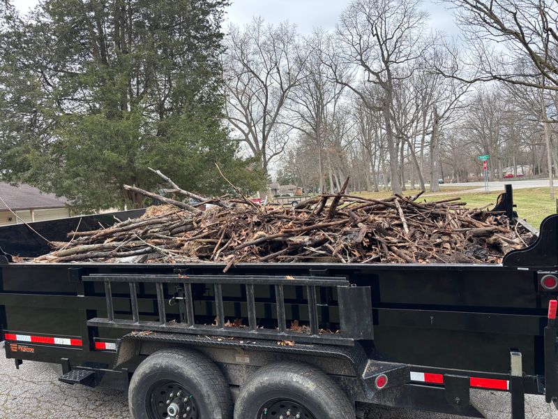 Property Maintenance