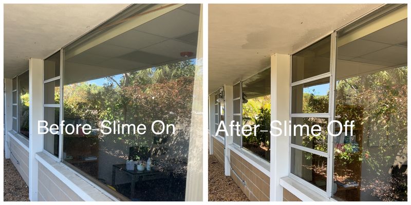 Commercial Window Cleaning