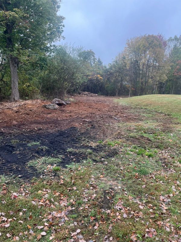 Fall Clean Up