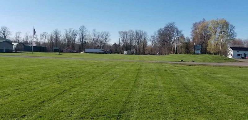 Lawn Aeration