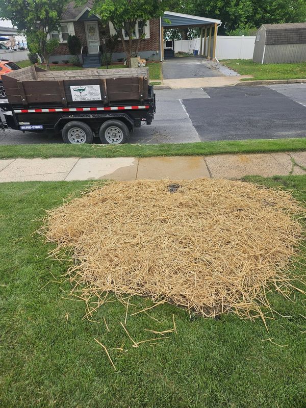 Lawn Maintenance