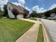 Shrub Trimming