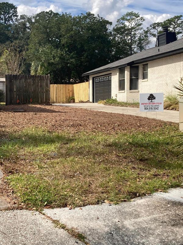 Fall Clean Up
