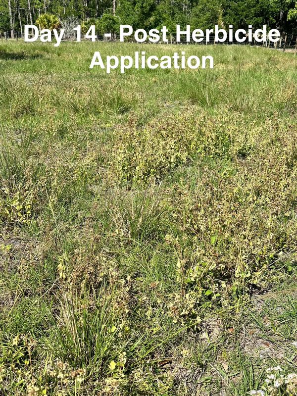 Custom Herbicide Treatments