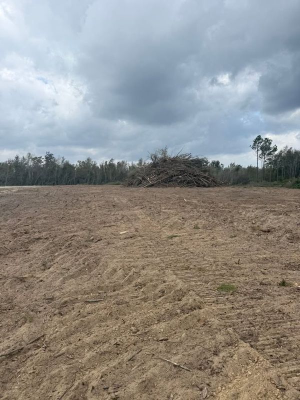 Land Clearing