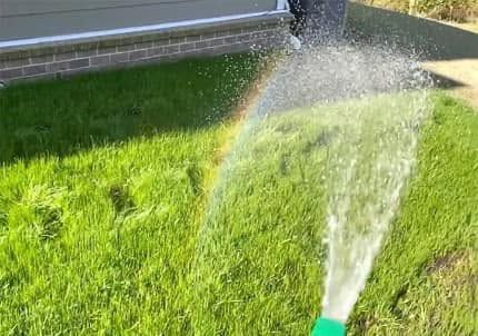 Fertilization and Weed Control