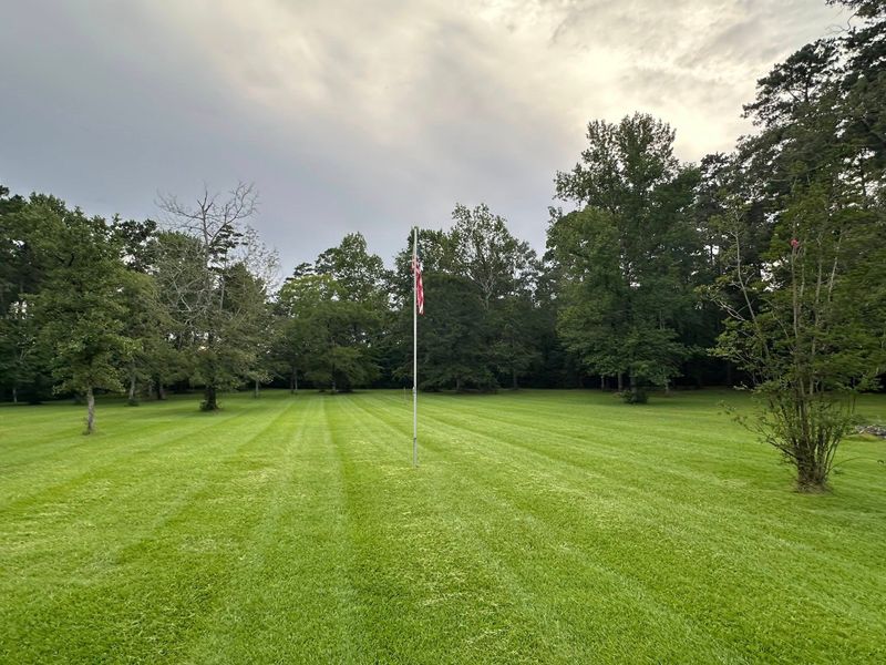 Landscaping 