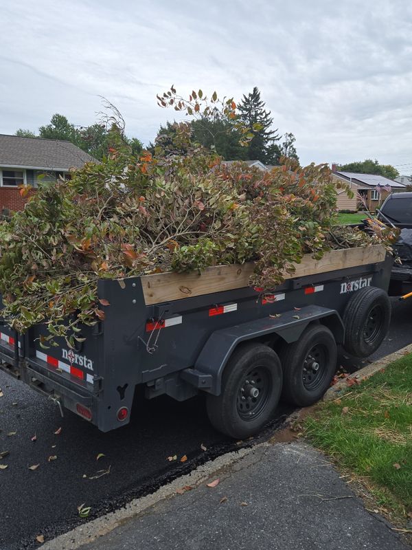 Tree & Shrub Care