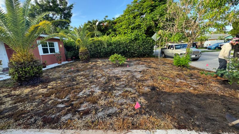 "Transforming Lake Worth Beach: Elegant Sod and Stone Landscaping by South Florida Terra Systems"