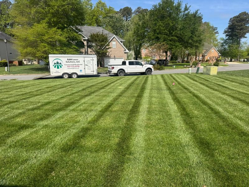 Lawn Mowing