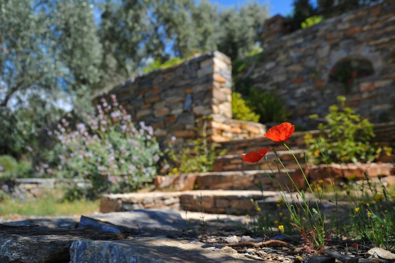 Retaining Wall Construction