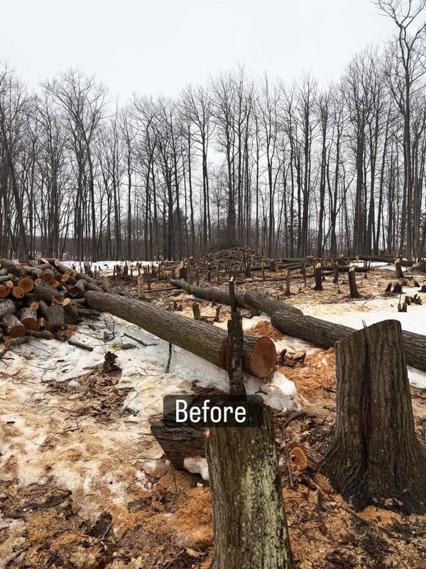 Land Clearing and Site Preparation