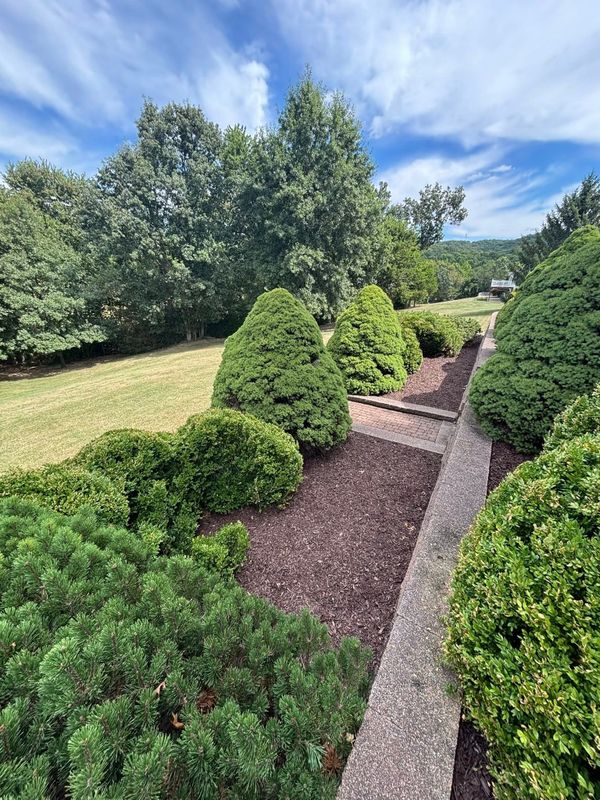 Landscape Design