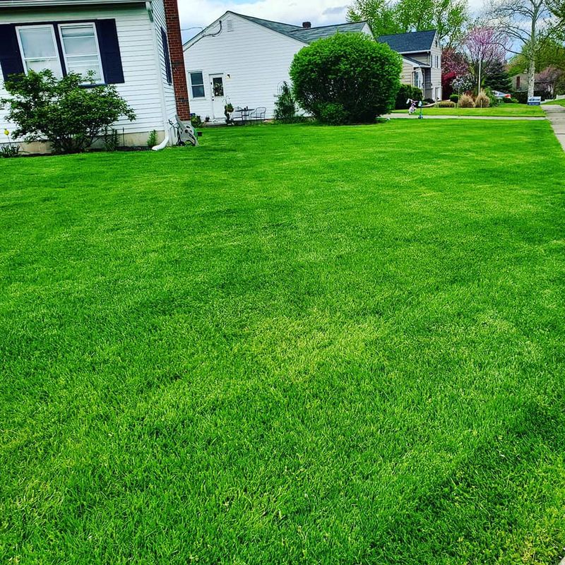 Lawn Care