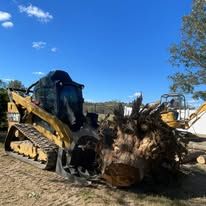 Tree Removal