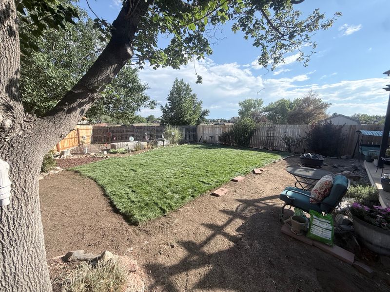 Landscape Design