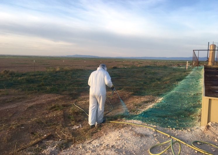 Weed Remediation