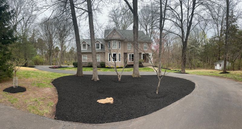 Lawn Maintenance