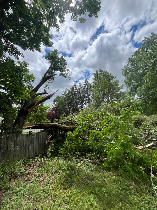 Storm work / Emergency work