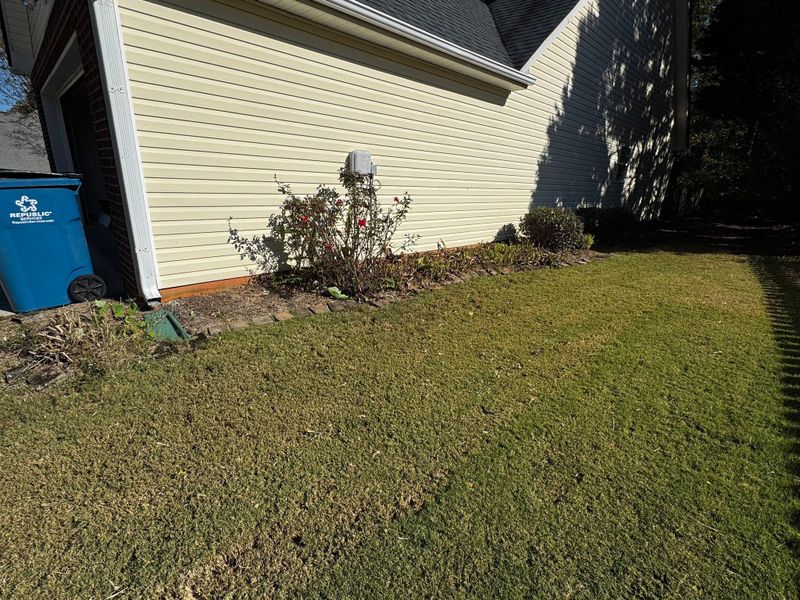 Sod Installation