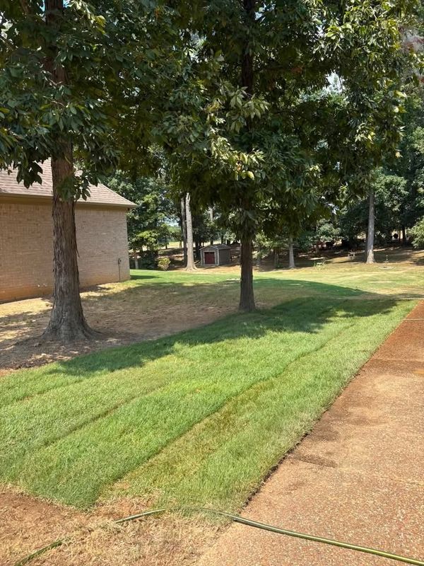 Lawn Maintenance