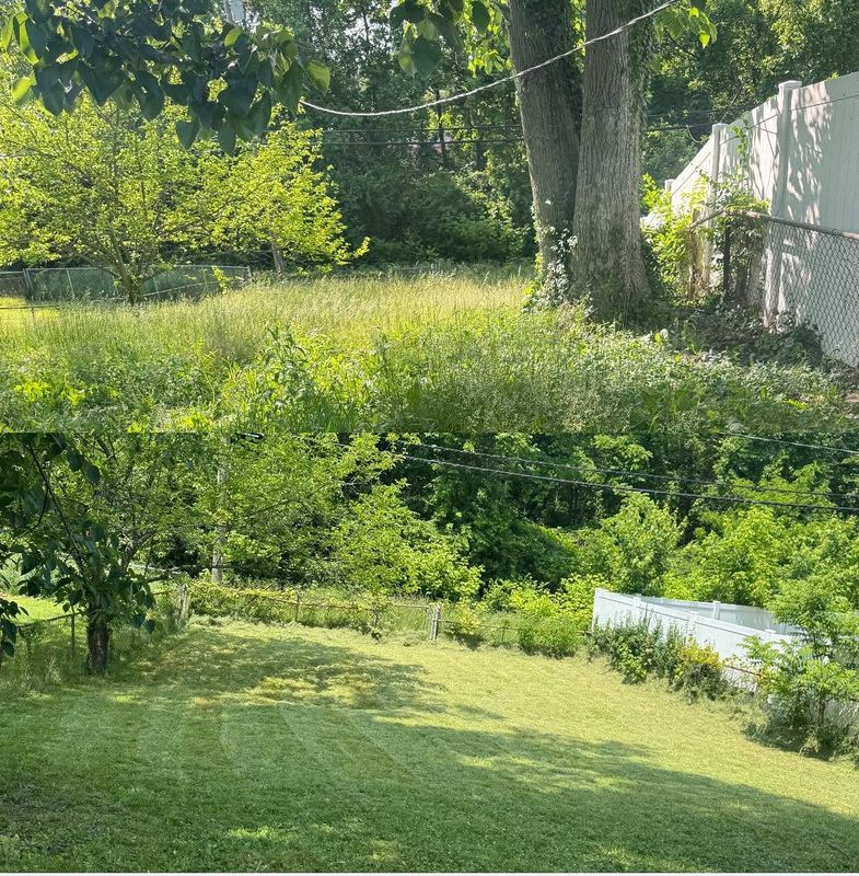 Garden Designs