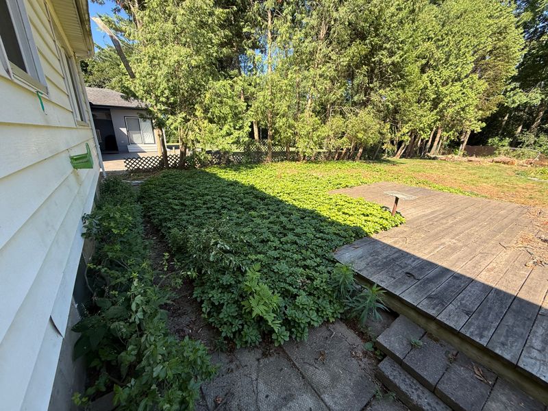 Complete Property Cleanup & Lawn Restoration | Ancaster, ON