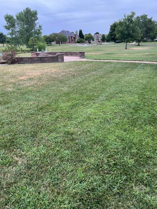 Lawn Maintenance