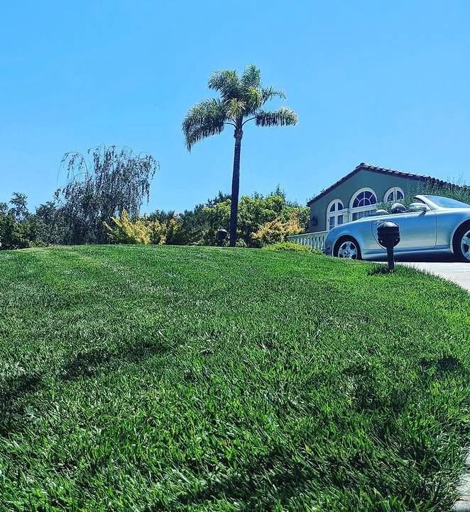 Lawn Mowing