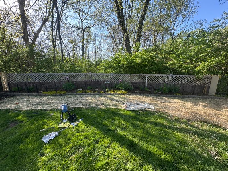 Deck and Fence Staining