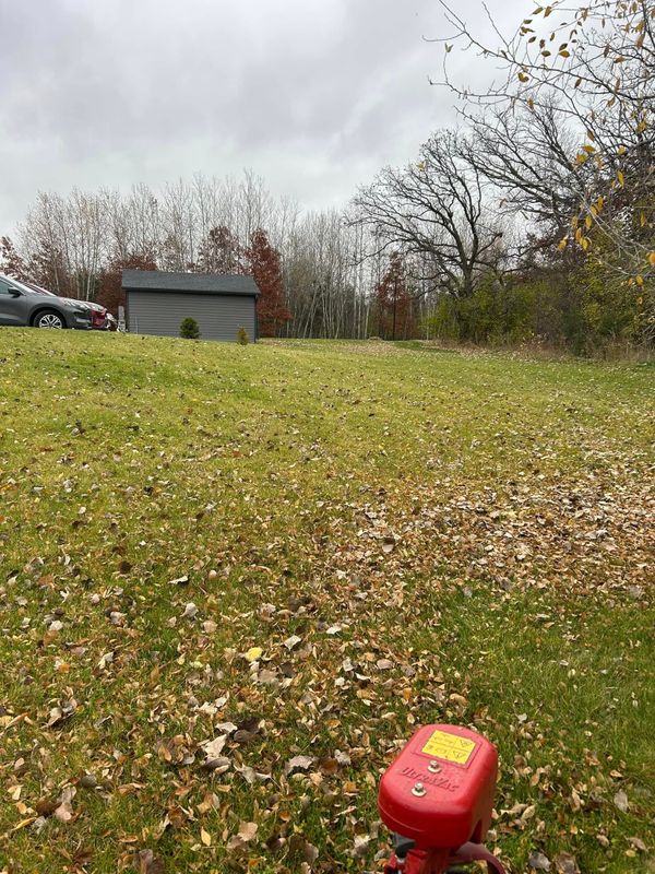 Seasonal Clean-Up