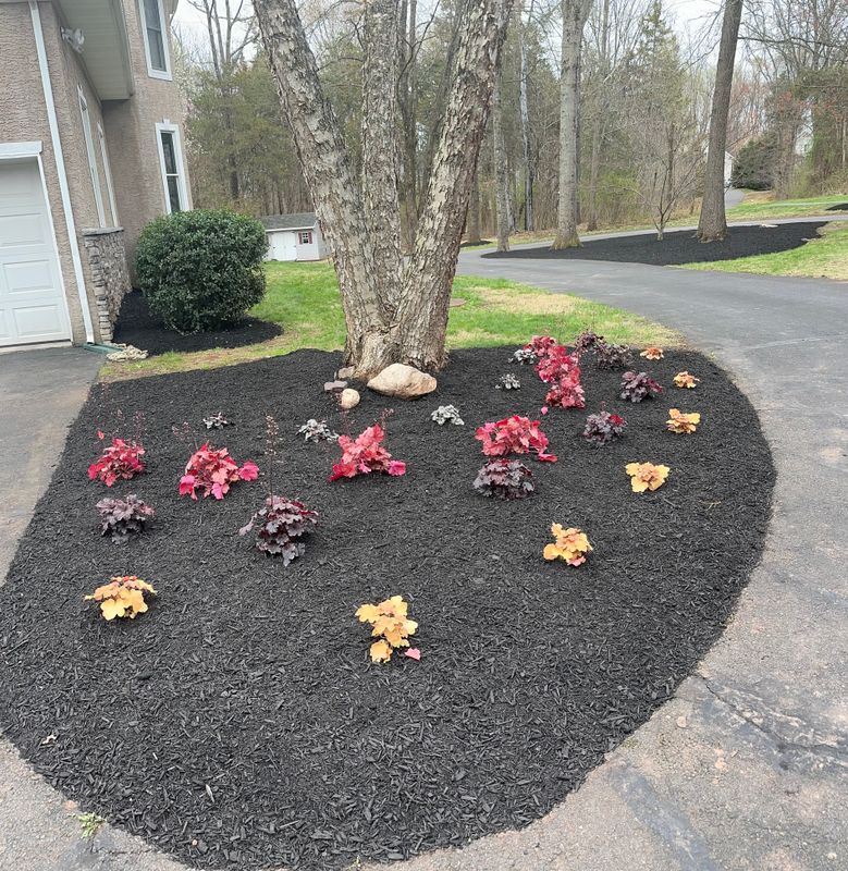 Lawn Maintenance