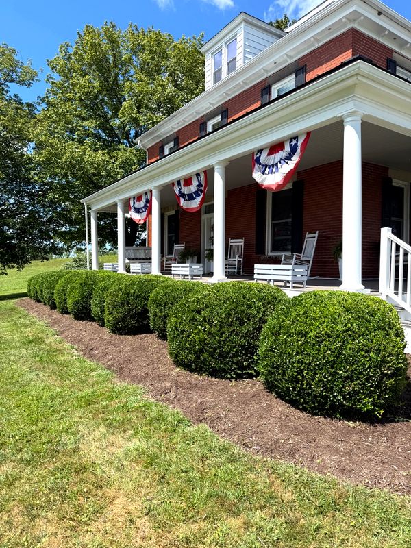 Shrub Trimming