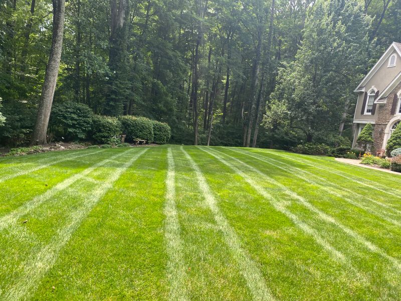 Lawn Maintenance