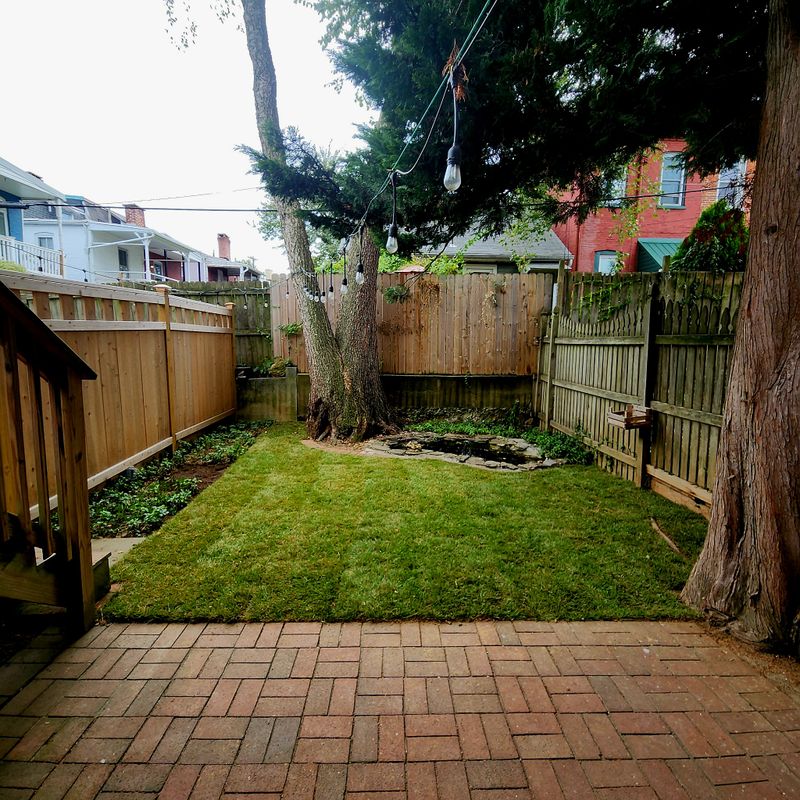 Sod Installation