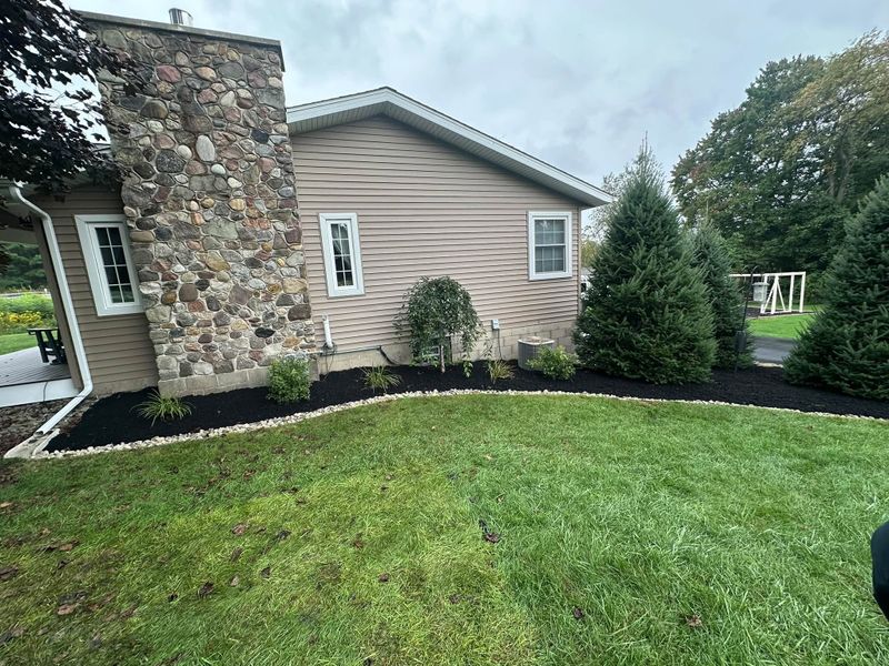 Shrub Trimming
